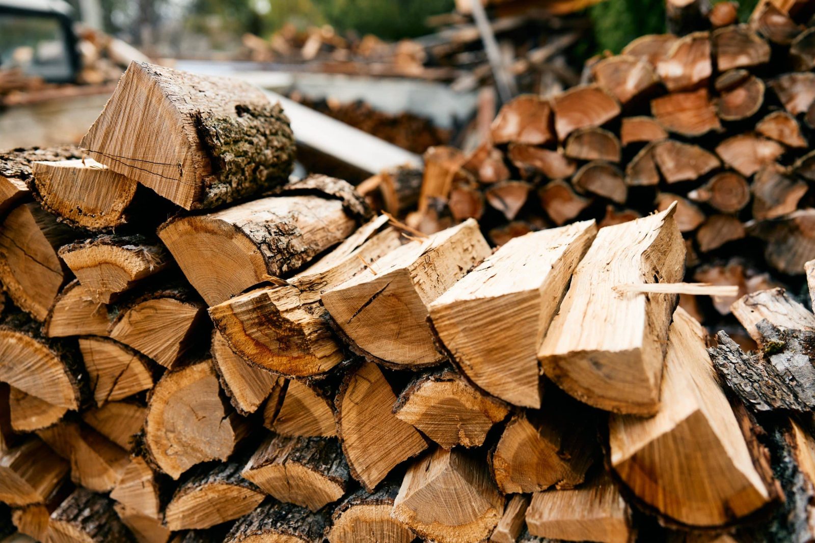 Alerte tres bon plan bois de chauffage a 2970 euros le stere on fait le plein avant lhiver scaled 1